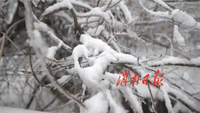 云似盖 雪如尘 少华山美似仙境