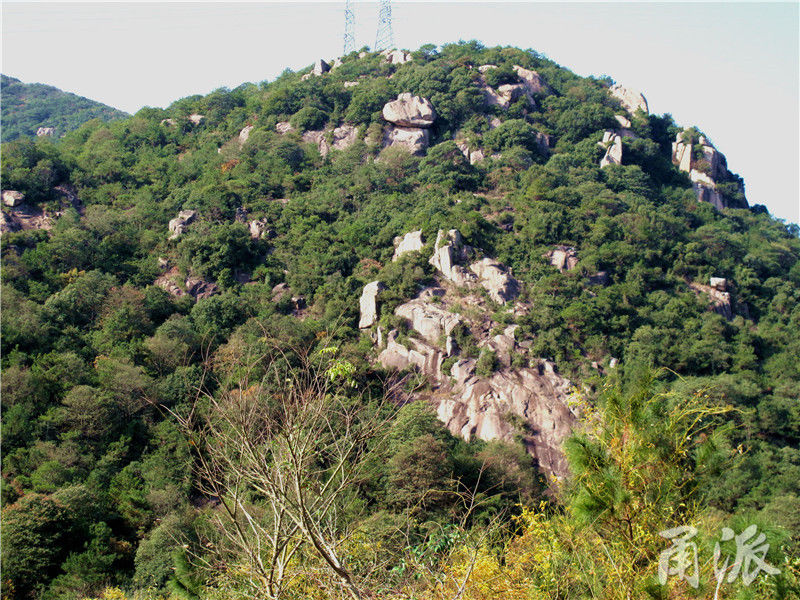 爵溪|象山爵溪有条“最险要的游步道”，风景独好