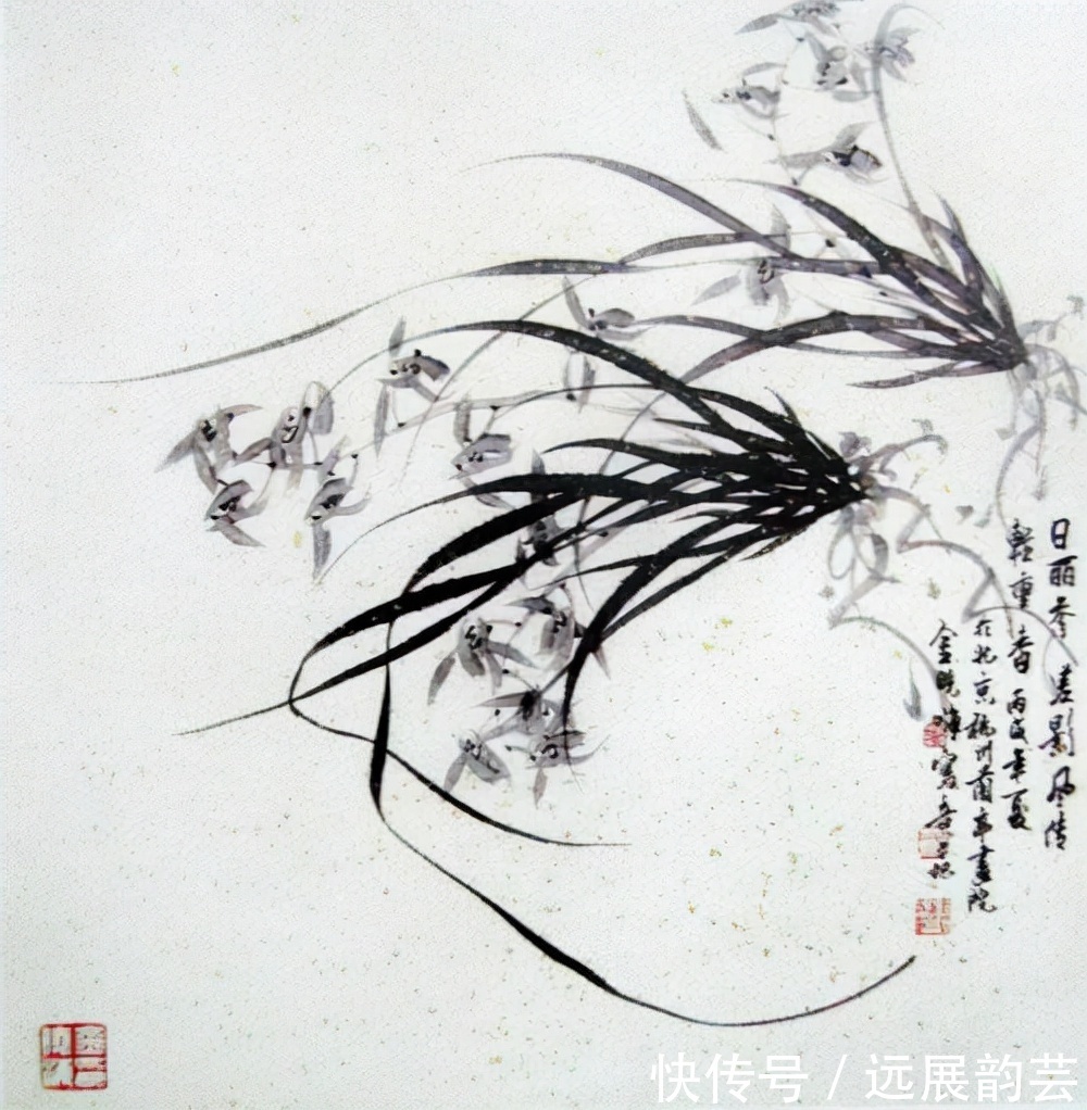 花鸟&自然的韵律——金晓海的水墨花鸟画