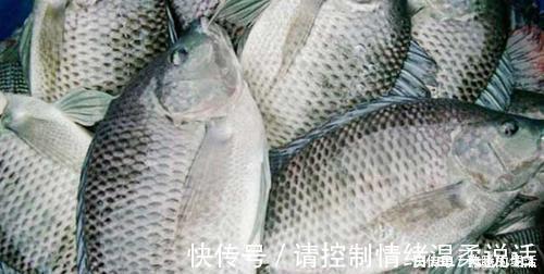 腥味|鱼腥最怕的是“它”,洗鱼时往里加一点,腥味轻松去除,鱼更鲜!