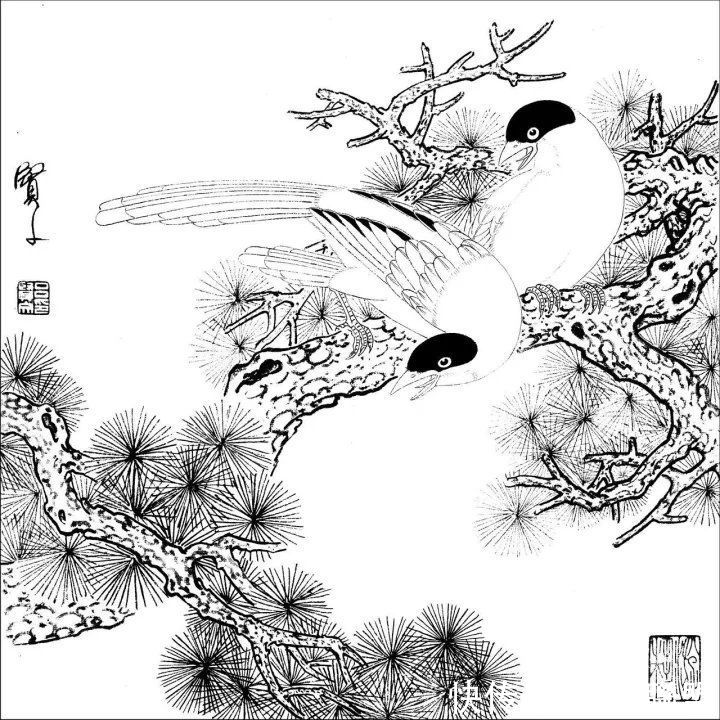 资料集|王道良实用花鸟白描资料集