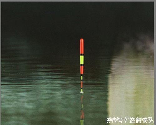 粗尾|用加粗尾浮漂野钓,调漂不对难上鱼,老钓友解析加粗尾的调钓方法