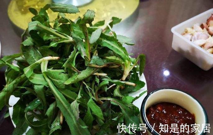 野菜|在农村好比“人参”的野菜，味道虽难吃，可预防多种疾病