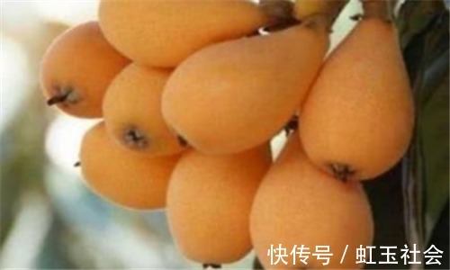 长寿|人到中年想长寿,推荐吃3种食物,滋补肝肾,补血益气、养护肠胃