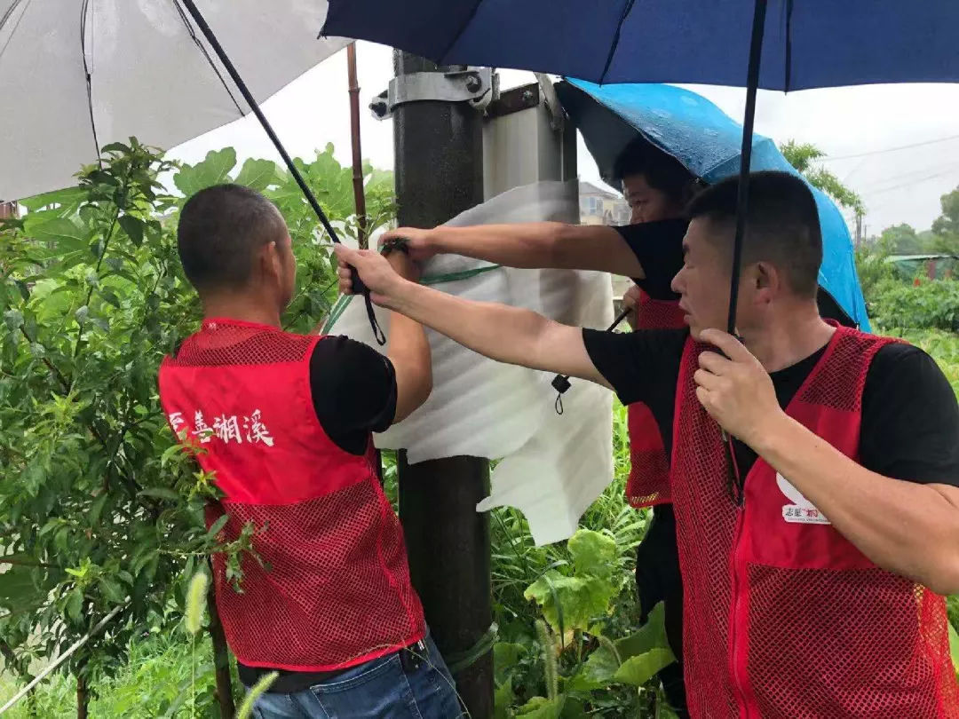 台风|风里雨里，桐乡这抹“志愿红”一直温暖你！