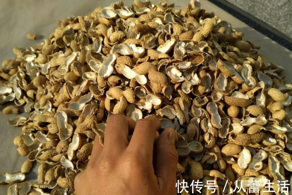 养花土里加点料，肥的流油，从来不板结，开花太猛了