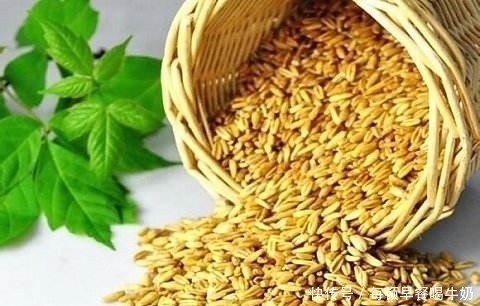 超模kk|快速减脂,夏季临时抱佛脚,教你正确吃燕麦!