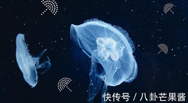 形象|国内高端品牌形象欣赏-河南品牌分享!