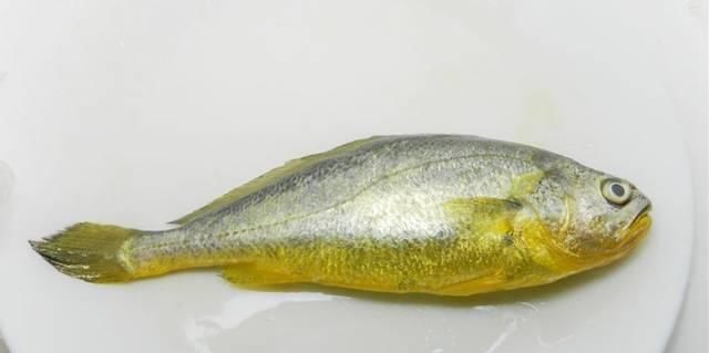 营养成分|怀孕期间常吃这三种肉,胎儿有营养,孕妈也不用担心长肉