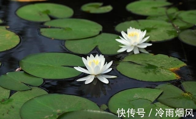 江南曲&杜牧《江南春》千古流传,寇准写同题作品一诗一词,皆成佳作