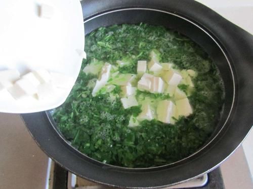 春季，遇见这野菜别错过，简单煮一煮，等于“补钙汤”，补钙长个头