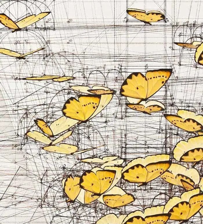 黄金比例!理工男花40年时间,用圆规画1000张画,黄金比例的拥护者