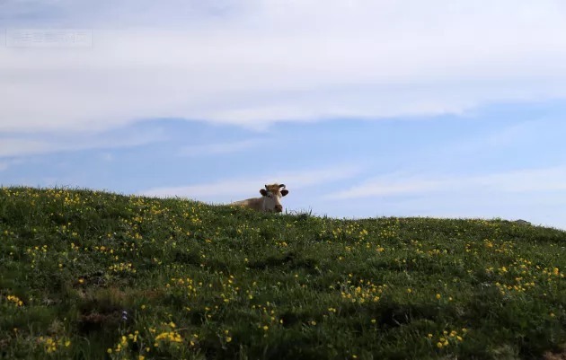 莲池大师竹窗随笔:布 施