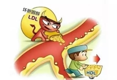 溶解|血管不堵的人,身体会有5个表现,占2个以上,恭喜你血管还不错