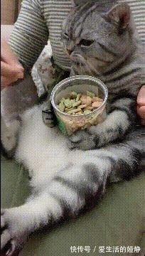 |搞笑GIF:自从夜市看了一眼,我夜夜不能忘记这一幕