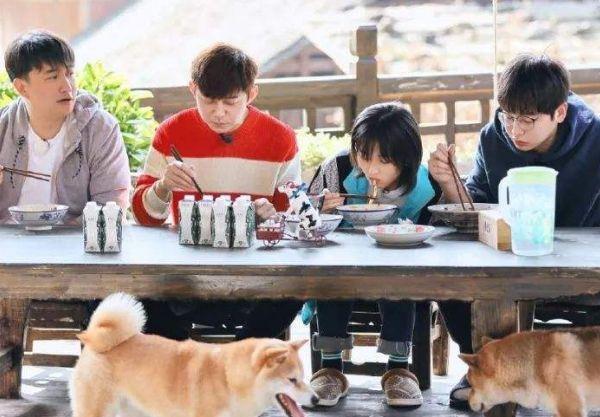 中国最特别的一档综艺,明星不要钱都想参加,来了之后还不想走