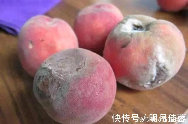 桃仁|烂桃子一个都不能扔，放在家里太值钱了，下次别再扔掉，学学