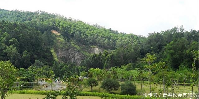 位于广州天河的这座山，峰峦叠翠，很多人还不知道