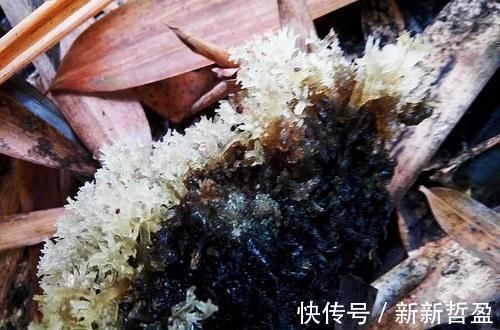 |沙雕动画,搞笑:捡到一张大钞票,吃空了小卖部,差点被打死!