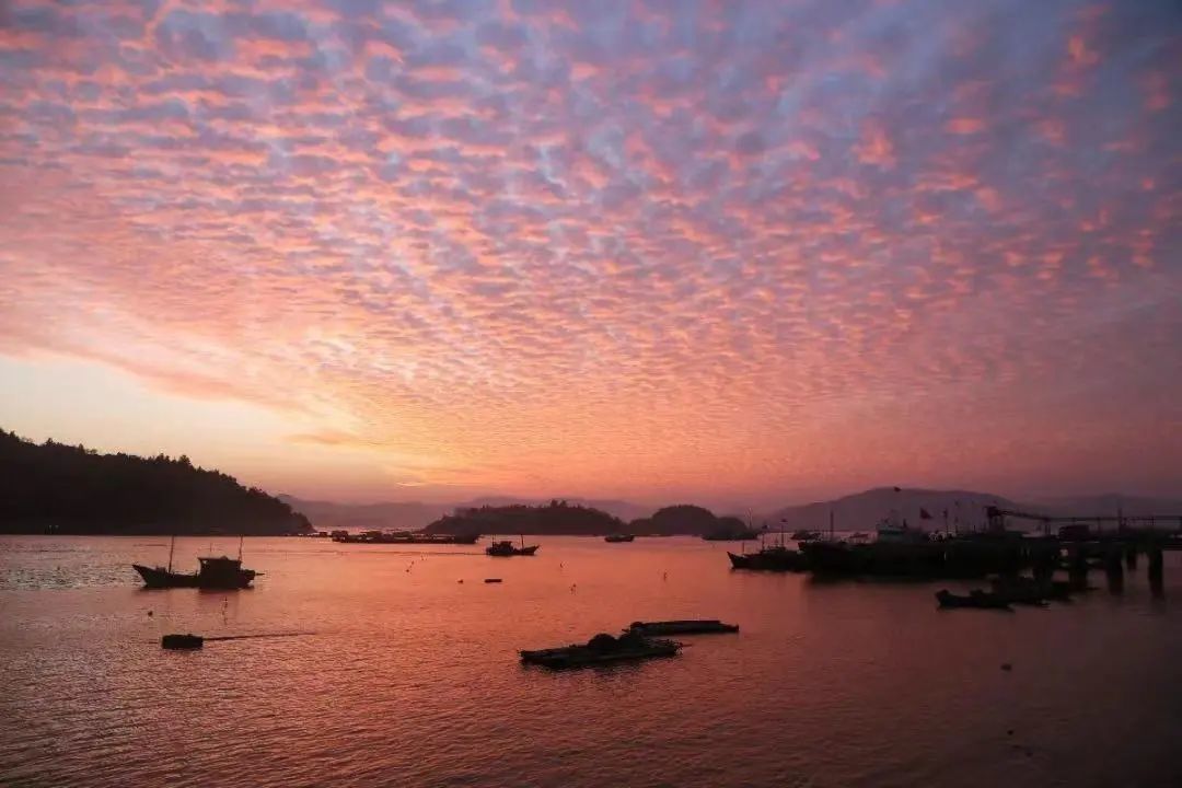 老街|千帆之港、百年老街，你要的海岸浪漫风情，在浙南这个镇都可以找到……