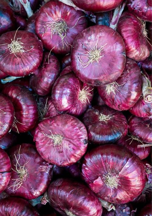 洋蔥盡量少吃，最好不吃，有些細(xì)節(jié)越早清楚就越好