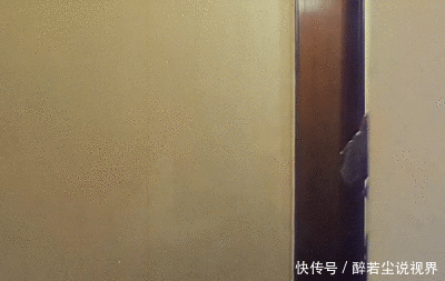 孩子|这是谁家的孩子?太会抢镜了!