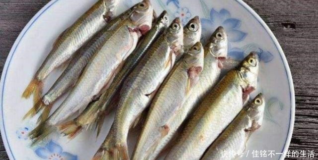 最让人难以忍受的4种鱼,罗非鱼上榜,图6只有印度人能接受