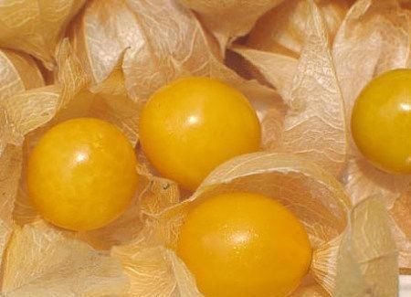 美容养颜|女性常吃此物,保养卵巢,子宫越来越健康,远离妇科炎症