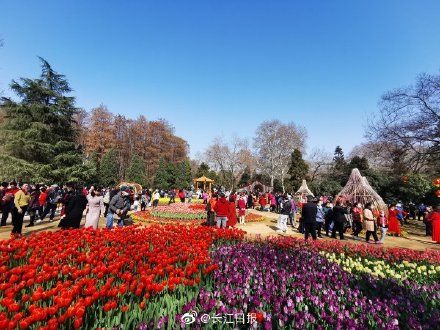 近700万！武汉春节游客创历史新高