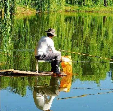 应对静海花园钓鱼比赛，教你野钓用饵硬技巧，让你更容易钓大鱼