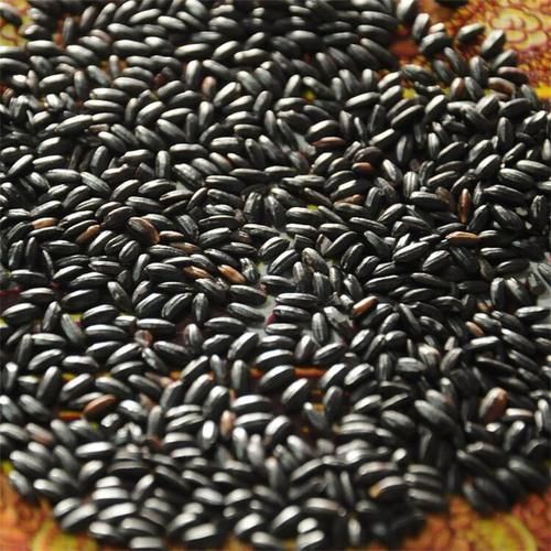 黑米|长寿老人最爱吃三种食物，清热解毒，增强免疫力，营养不流失