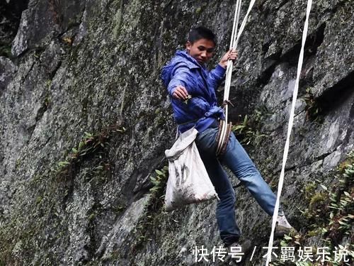 木耳|若在石壁上见到这“东西”,请你重视起来,价值很高,不要错过