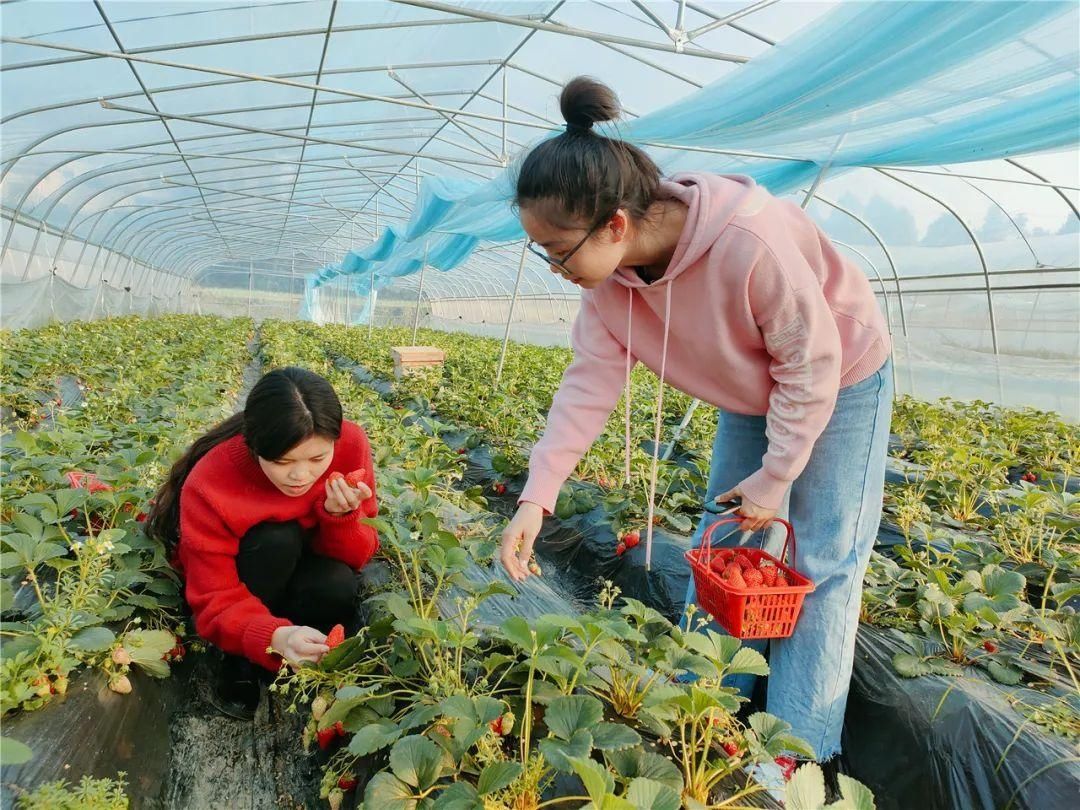 春意盎然，感受初春的香甜惬意！|万山 |春意盎然，感受初春的香甜惬意！\＂,\＂i11\＂:\＂万山