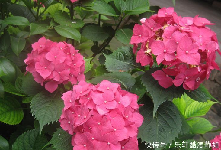 從6月21日開始 運勢不錯 會鴻運當頭 活得精彩的三大星座 中國熱點