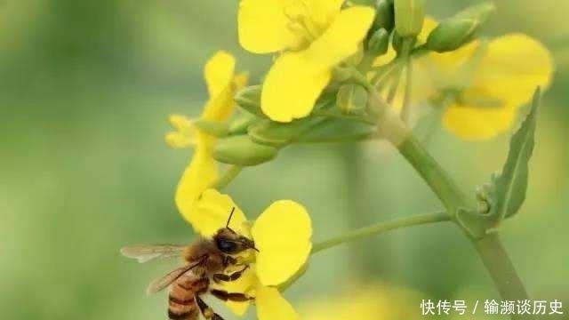 曾国藩眼中的3条“美德”,也是3条积福之道,你知道吗?