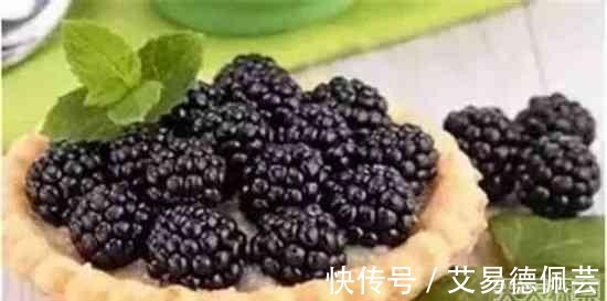 尿路感染|世界上公认十大健康水果 看看你吃过几种