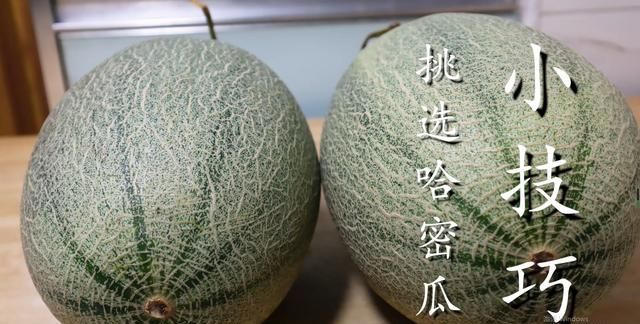 瓜脐|哈密瓜甜不甜，看一眼这里就知道，保证一挑一个准，方法真实用