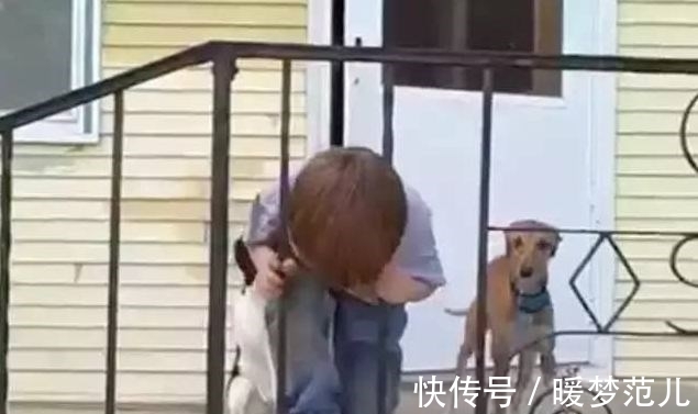 爸爸|外国小男孩头被栏杆卡住了,爸爸的处理让国人大开眼界