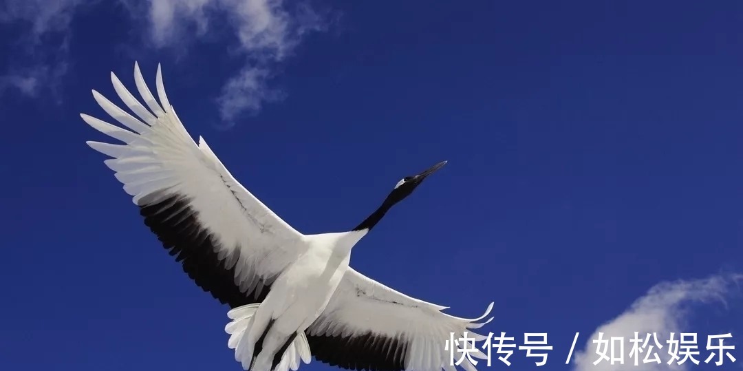 蜀先主庙&被《唐诗三百首》遗忘的15首诗,每一首都是我们最喜爱的名篇