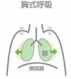 nicol【科普知识】卷了一年，是时候好好喘口气啦！