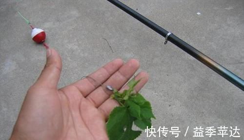 陆生草|民间野钓草鱼的几种“野路子”,效果好的没话说,上钩全是大草鱼