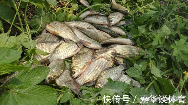 垂钓|钓友:谁动我鱼竿我就把谁弄水里,管理方:好,我就让你弄水里