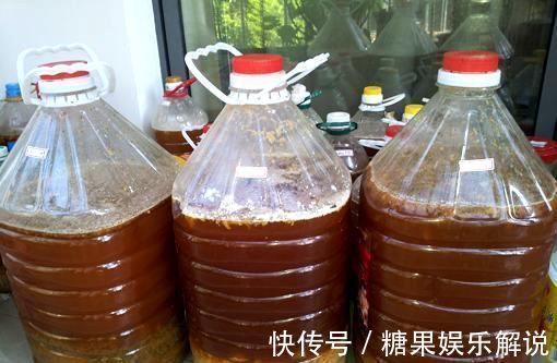 夏季|此种开花水喷一喷，一次开花20朵，枝条都压弯啦！