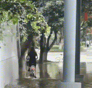 |搞笑GIF:虽然知道笑别人不好 但我实在是没忍住