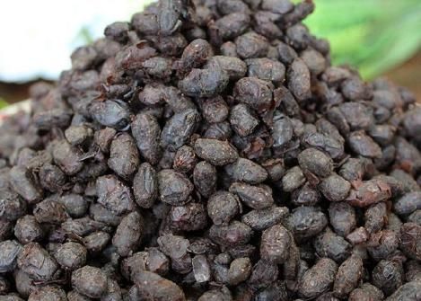 无论男女，人到中年常吃3豆，女性吃有百益，能养生，能养人