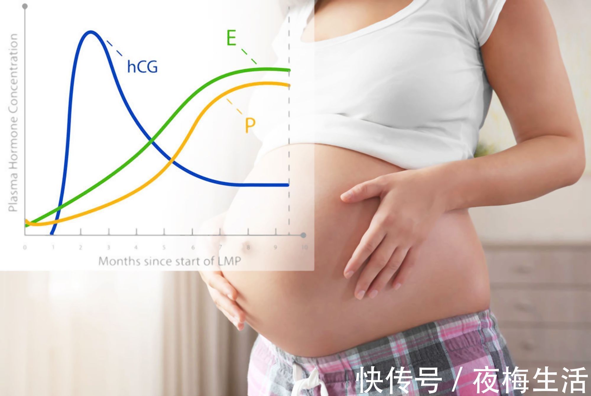 小伙|怀孕讲究“瞒三不瞒四”,和胎儿发育关系不大,要正确认识孕肚