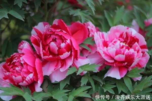 拥有这“4种脚型”的女人,天生富贵之命,衣食无忧,从不缺钱花