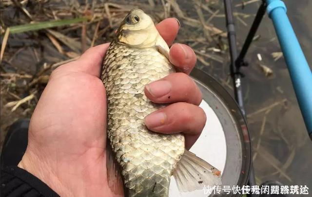 关于钓鱼的五个真实感受,新手可别被“骗”,钓鱼没那么好玩