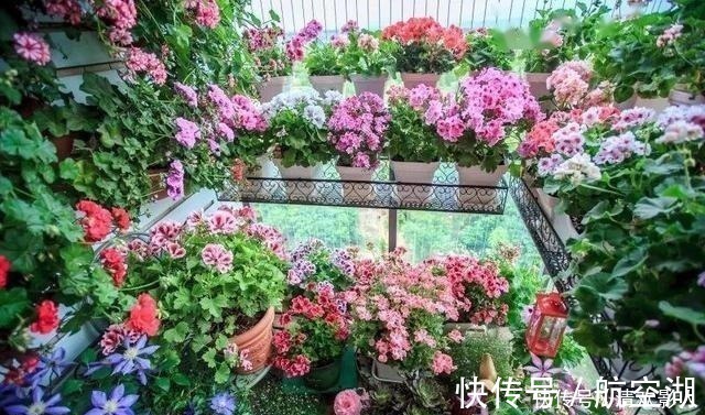 造园|7㎡迷你“阳台造园”小阳台这样布置,也能美成的花园!