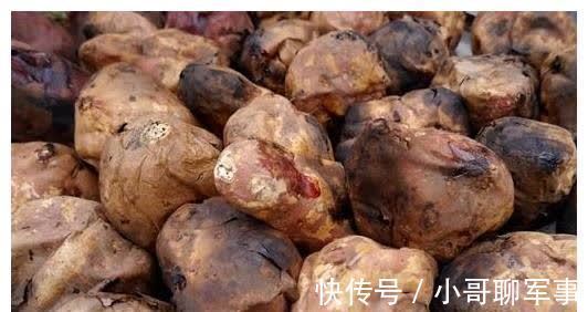 小宝宝|有身孕后,有4种食物孕妈贪吃会加重肠胃负担,损伤宝宝发育